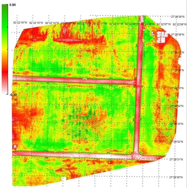 Revolutionizing Maize Yields